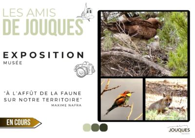 📸 Exposition photos – Maxime Nafra